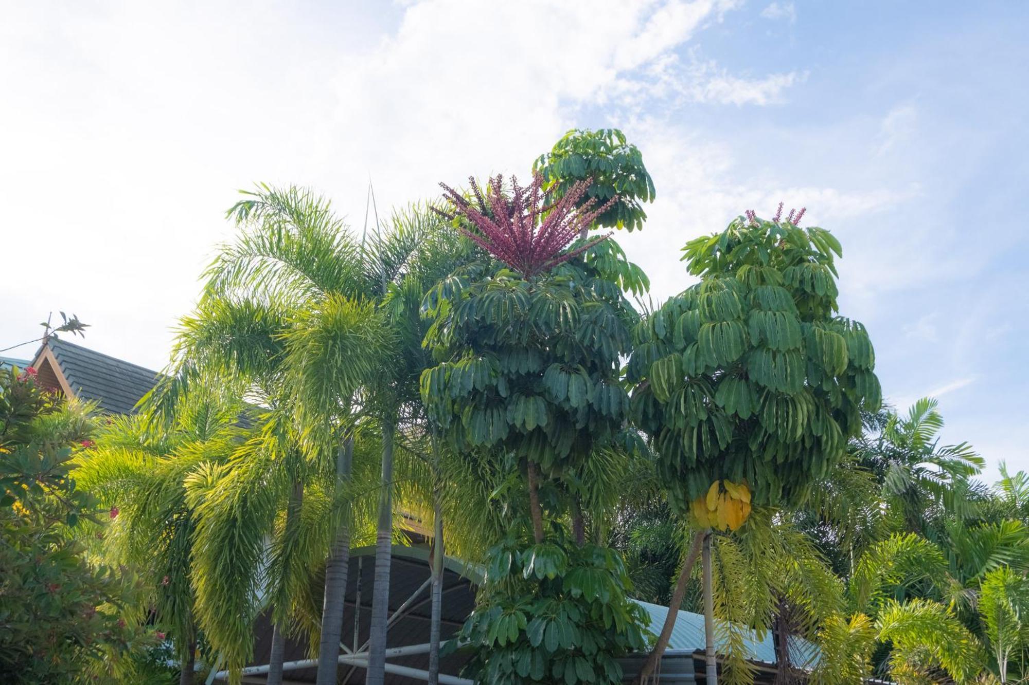 Blue Beach Grand Resort And Spa In Chalong Phuket By Dayuu Ban Saiyuan ภายนอก รูปภาพ